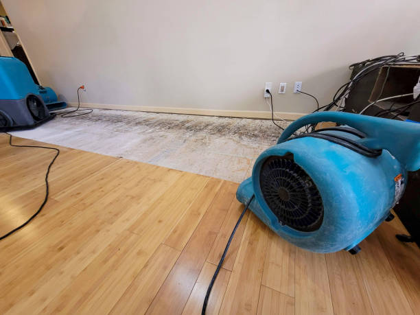 Reliable Basement Flood Cleanup contractor in Kingfisher, OK by Hirex Water Damage